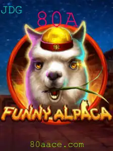 Explorando o Mundo Divertido de FunnyAlpaca e o Desafio 80A